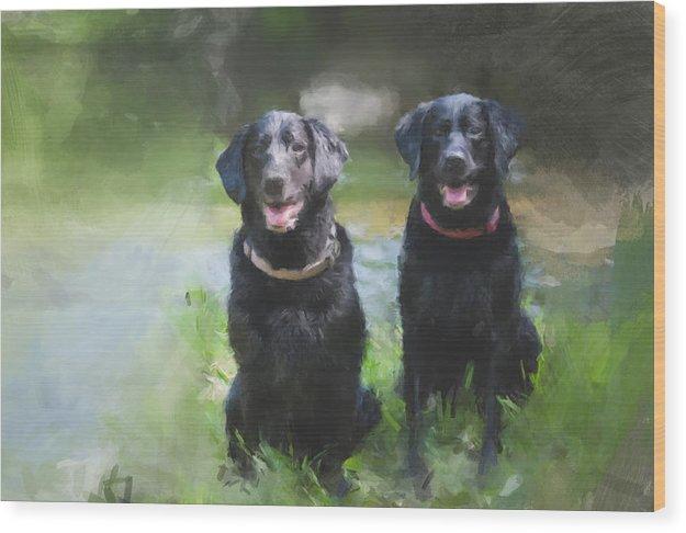 Water Dogs - Wood Print
