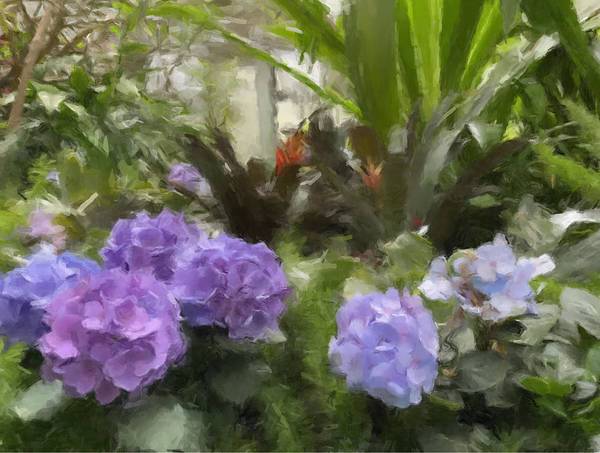 Purple and Blue Hydrangeas - Art Print