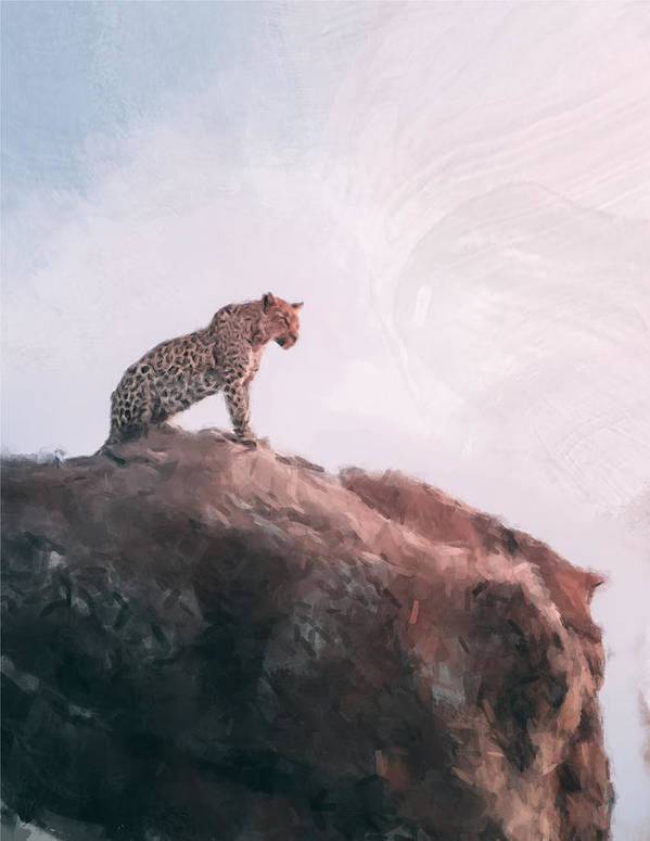 The Leopard Waits - Art Print