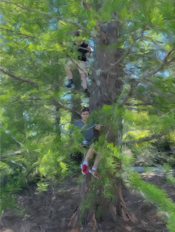 The Tree Climbers - Art Print
