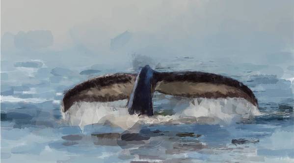 The Whale Tail - Art Print